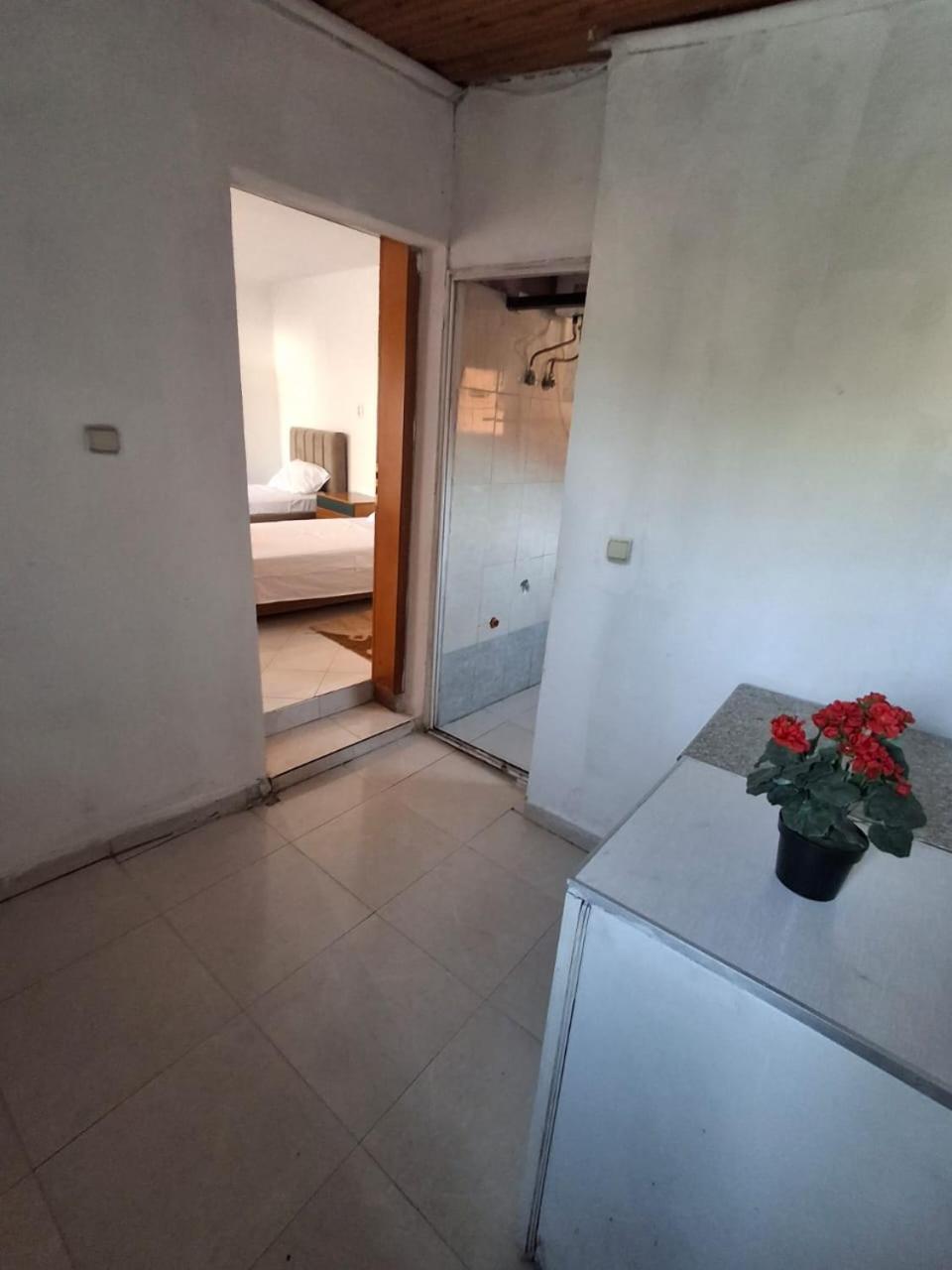 Aleko Guest House Гирокастра Экстерьер фото
